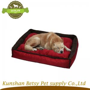 red anima cane letti