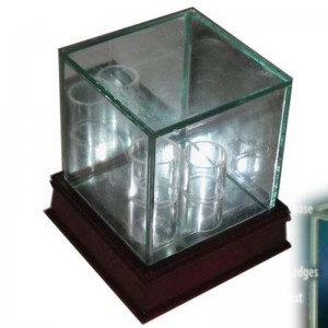 Vetrina singola in vetro da baseball