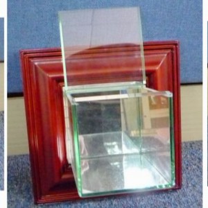 Vetrina da baseball montata a parete