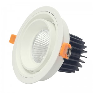Lampada da soffitto a LED tonda e quadrata COB 20W 30W da incasso a soffitto