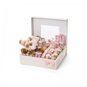 hot vendita macaron confezione con coperchio macaron box design