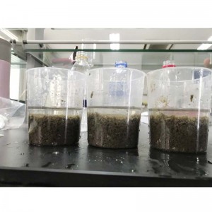 Pam di approvvigionamento di trattamento delle Acque reflue Industriali