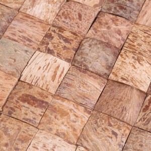 Piastrelle di decorazione della parete del mosaico delle coperture di noce di cocco naturali di progettazione creativa