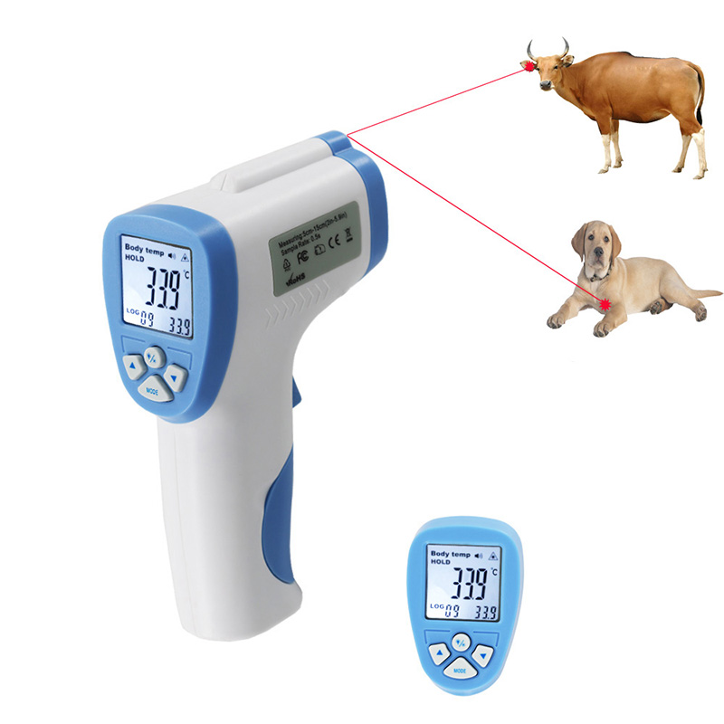 Il termometro animale tenuto in mano è comunemente usato per misurare il termometro del corpo animale