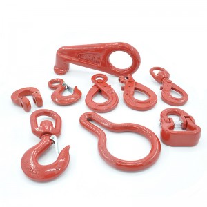 G80 Gancio contenitore verniciato