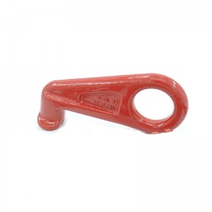 G80 Gancio contenitore verniciato