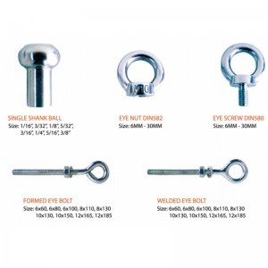 316 Dinamo forgiato DIN582