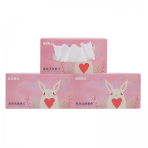 Trucco rimozione della salvietta