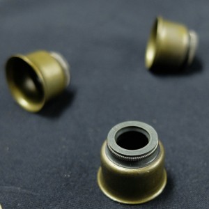 Alta qualità made in China Guarnizione stelo valvola per auto Ford