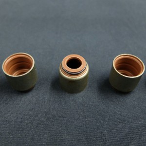 Cina fornitore Valvola stelo paraolio per auto Renault