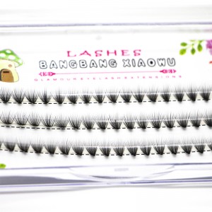 Estensioni cluster per ciglia volumetriche da 2D a 20 D