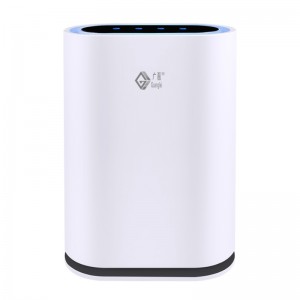 Purificatore d'aria HEPA con filtrazione per stanze, allergeni, odori, fumo, muffa, polvere, germi e pet dander