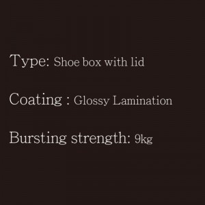 Scatola di scarpe con coperchio tipo1