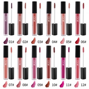 Lipgloss liquido del rossetto dell'OEM Lipgloss del rossetto opaco di alta qualità di ColorPop dell'etichetta privata