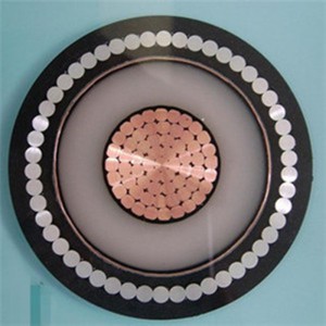 Isolamento XLPE SWA 240mm2 Cavo di alimentazione mv 11KV Conduttore in rame