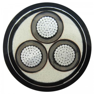 Cavi elettrici schermati e concentrici di media tensione neutri Acqua e fondale marino CSA C68.5