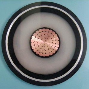 110kv Xlpe HV Cavo di alimentazione compatto conduttore segmentale 1000mm2