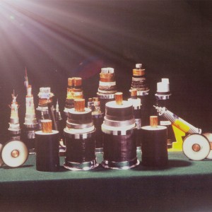 Cavo in rame ad alta tensione 220KV ad alta tensione con cavo singolo resistente di CC 300mm