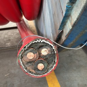 Cavo corazzato multi core di media tensione con STA / SWA corazzato