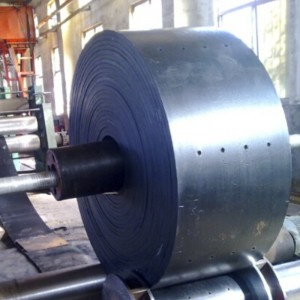 Nastro trasportatore dell'elevatore della benna