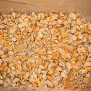 Carne di cozze bollite congelate