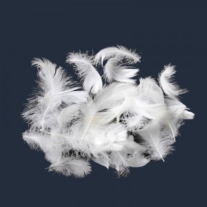 Anatra naturale, piuma d'oca Materiale