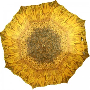 Le vendite all'ingrosso del negozio di alta qualità che pubblicizzano l'ombrello diritto di forma del fiore all'aperto