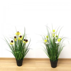 Pianta dell'erba della cipolla della natura più vicina di 2 nella decorazione decorativa domestica della piantatrice