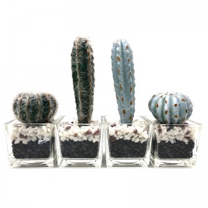 Cactus artificiale nella decorazione succulente di Faux del vaso di vetro decorativo per la casa o l'ufficio