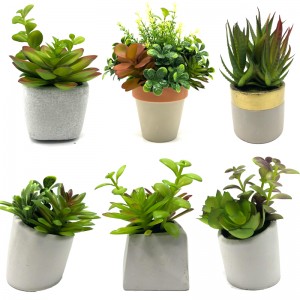 Mini piante succulente artificiali con decorazioni decorative da tavolo