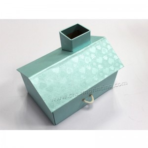 Contenitore d'imballaggio su ordinazione del contenitore di regalo creativo su ordinazione dell'alimento