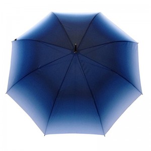 Ombrello dritto automatico di colore del tessuto di pendenza aperto automatico da 23 pollici