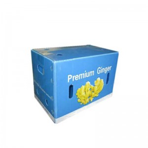 Scatola di zenzero