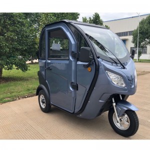 E-Trike, E-Tricycle, Trike elettrico