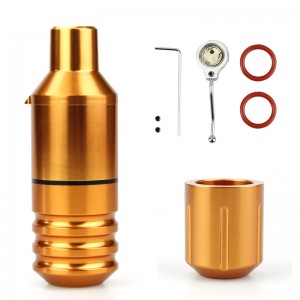 Macchina per penne a penna Tattoo Pen, Macchina per tatuatori a motore Faulhaber tedesca, con 2 testine, interfaccia DC, Pistole per tatuaggio da Beauty \u0026 Health