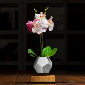levitazione magnetica galleggiante vaso pianta aria bonsai PA-0708