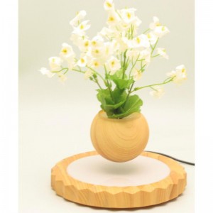 Levitazione magnetica girevole a 360 ° galleggiante per piante bonsai in vaso PA-0701