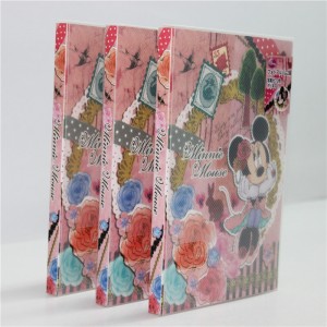 Album fotografico in plastica con stampa PP