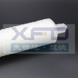 Cartuccia filtrante pieghettata --- RFG