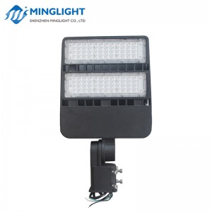 Parcheggio LED / Luce di inondazione FL80 80W