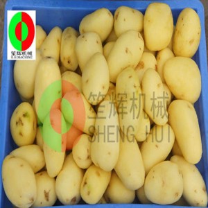 Nuovo tipo QX-608 Fruit Peeling Machine / Fruit Cleaning e Peeling Machine / Fruit Brush Macchina per la pulizia e la sbucciatura