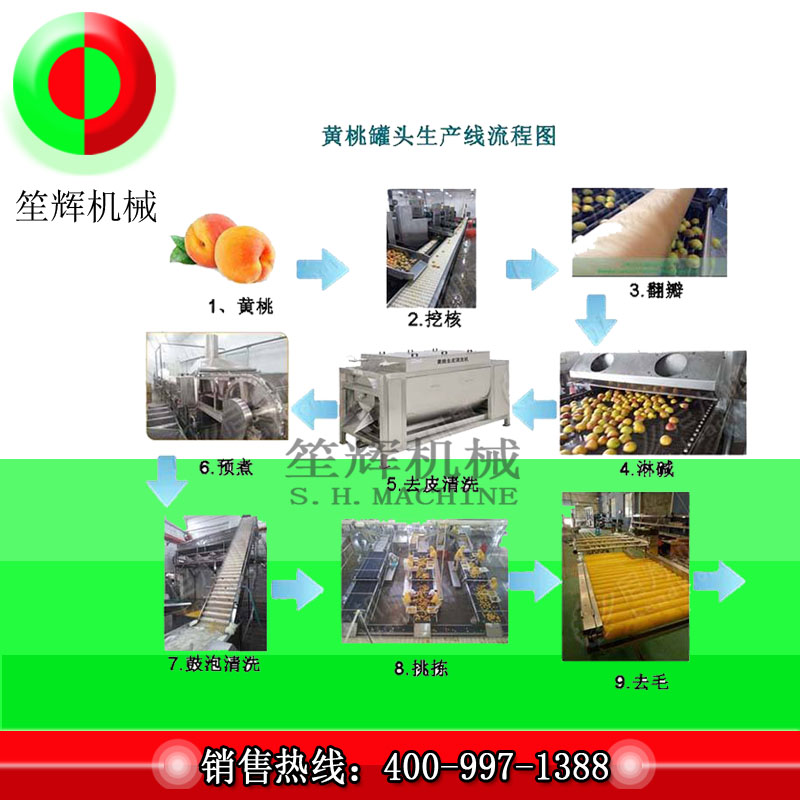 Linea per la produzione di frutta di grandi dimensioni / linea di produzione per la lavorazione della pesca gialla