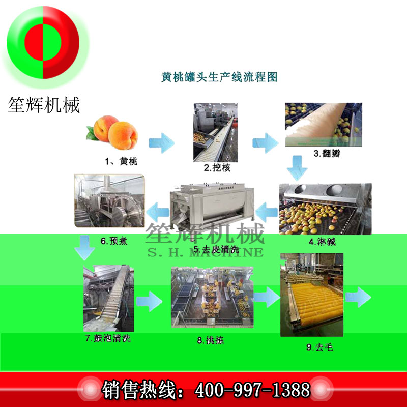 Linea per la produzione di frutta di grandi dimensioni / linea di produzione per la lavorazione della pesca gialla