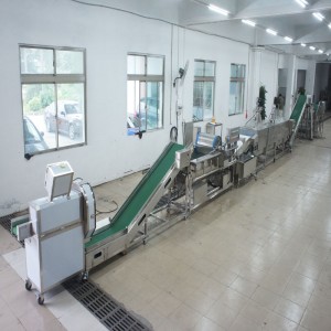 Grandi porri che uccidono la linea di produzione