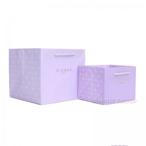 Sacchetto di carta per l'imballaggio dello shopping delle donne dei bambini