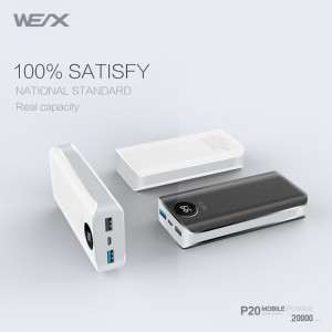 WEX - P20 Banca di alimentazione