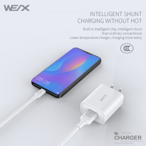 WEX -V8 singolo caricatore a parete a porta (65292; caricabatterie usb