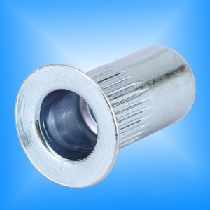 Corpo zigrinato a testa svasata