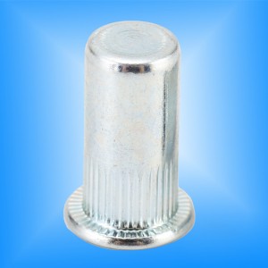 Estremità chiusa del corpo zigrinato a testa piatta