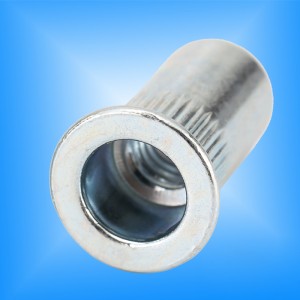 Estremità chiusa del corpo zigrinato a testa piatta